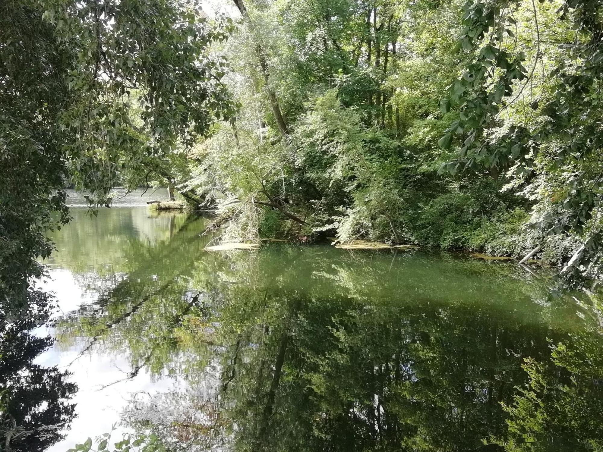 Studio Au Coeur De La Vallee De La Loire Azay-sur-Cher المظهر الخارجي الصورة